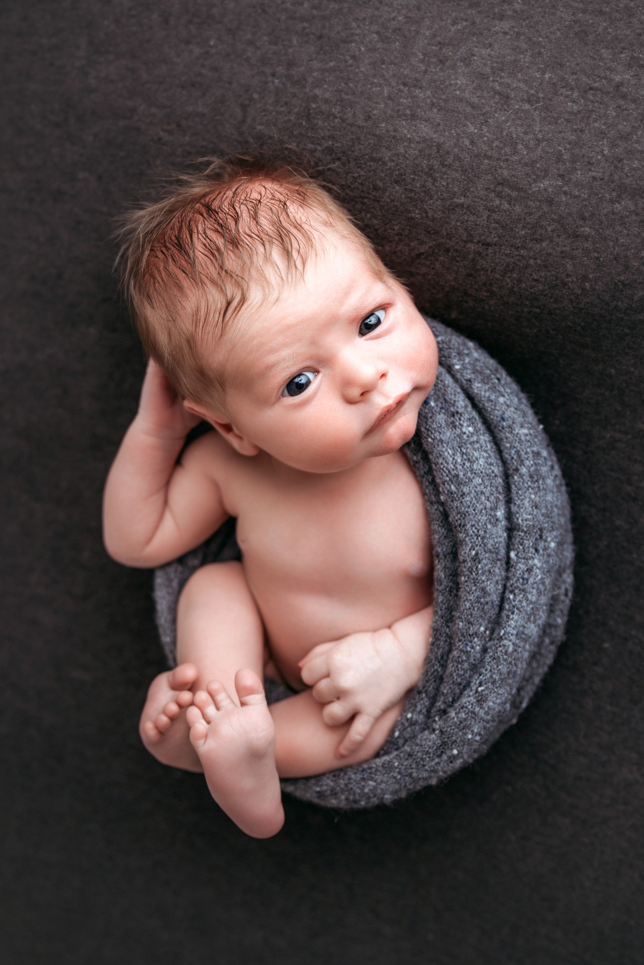 Newborn baby portrait